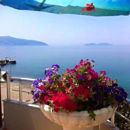 Vlora Apartments Eksteriør billede