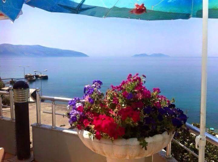 Vlora Apartments Eksteriør billede